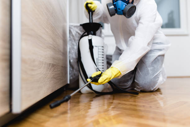 Best Affordable Pest Control Services  in Corte Madera, CA