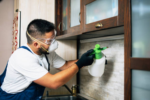 Professional Pest Control in Corte Madera, CA
